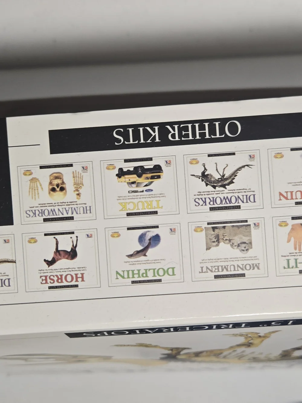 Dinoworks 15